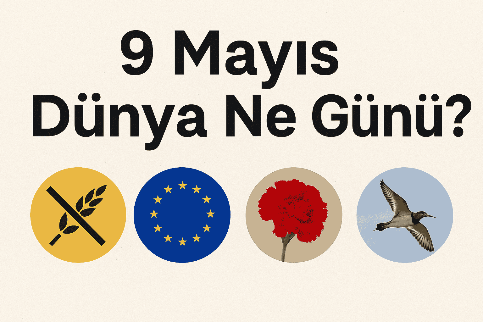 9 Mayıs Dünya Ne Günü 9 Mayıs Dünya Çölyak Günü 9 Mayıs Dünya Avrupa Günü 9 Mayıs Dünya Zafer Günü 9 Mayıs Dünya Kayıp Çorap Günü 9 Mayıs Dünya Göçmen Kuşlar Günü