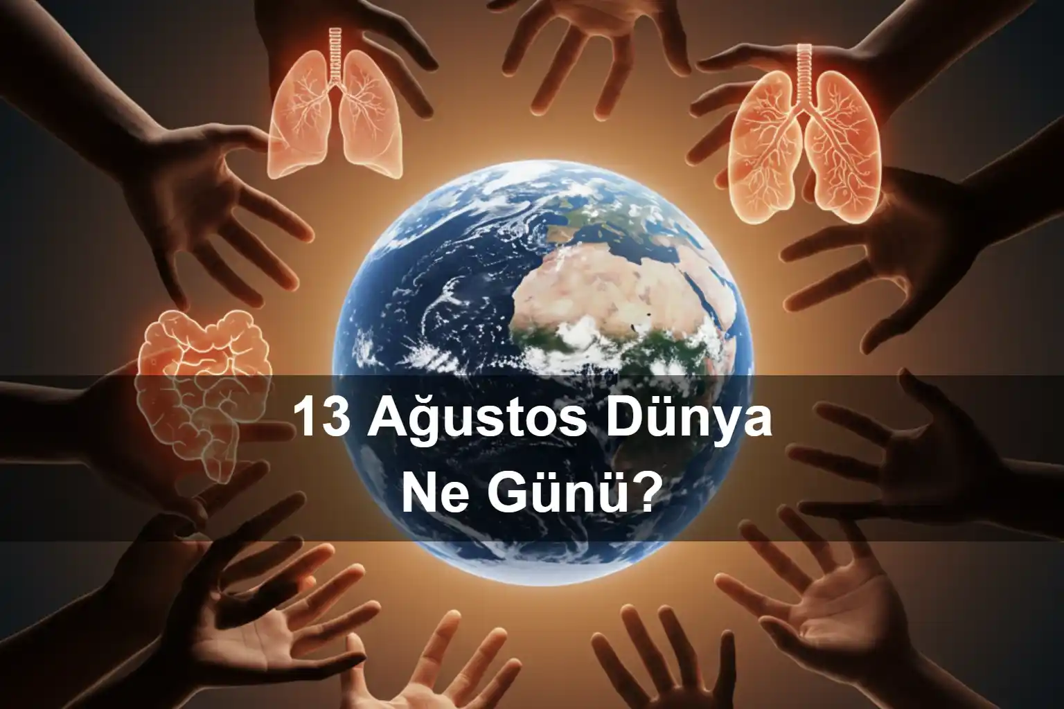 13 Ağustos Dünya Ne Günü 13 Ağustos Dünya Solaklar Günü 13 Ağustos Dünya Organ Bağışı Günü