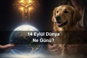 14 Eylül Dünya Ne Günü 14 Eylül Dünya Kutsal Haçın Yüceltilmesi Günü 14 Eylül Dünya Köpeğine Sarılma Günü (Hug Your Hound Day)