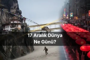 17 Aralık Dünya Ne Günü 17 Aralık Dünya Seks İşçilerine Yönelik Şiddete Son Günü 17 Aralık Dünya Wright Kardeşler Günü