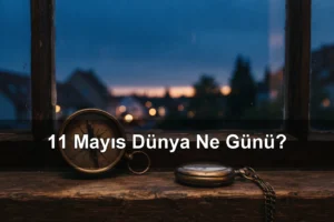 11 Mayıs Dünya Ne Günü? Dünya Alacakaranlık Kuşağı Günü, Dünya İstediğin Şeyi Yeme Günü