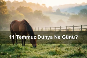 11 Temmuz Dünya Ne Günü? Dünya At Günü