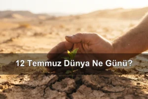 12 Temmuz Dünya Ne Günü? Kum ve Toz Fırtınalarıyla Mücadele Günü