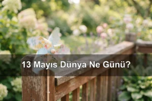 13 Mayıs Dünya Ne Günü? Dünya SMA Günü, Dünya Kurbağa Gibi Zıplama Günü