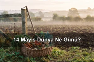 14 Mayıs Dünya Ne Günü? Dünya Çiftçiler Günü, Dünya Tavuk Gibi Dans Etme Günü