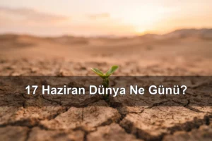 17 Haziran Dünya Ne Günü? Dünya Çölleşme ve Kuraklıkla Mücadele Günü, Dünya Sebze Yeme Günü