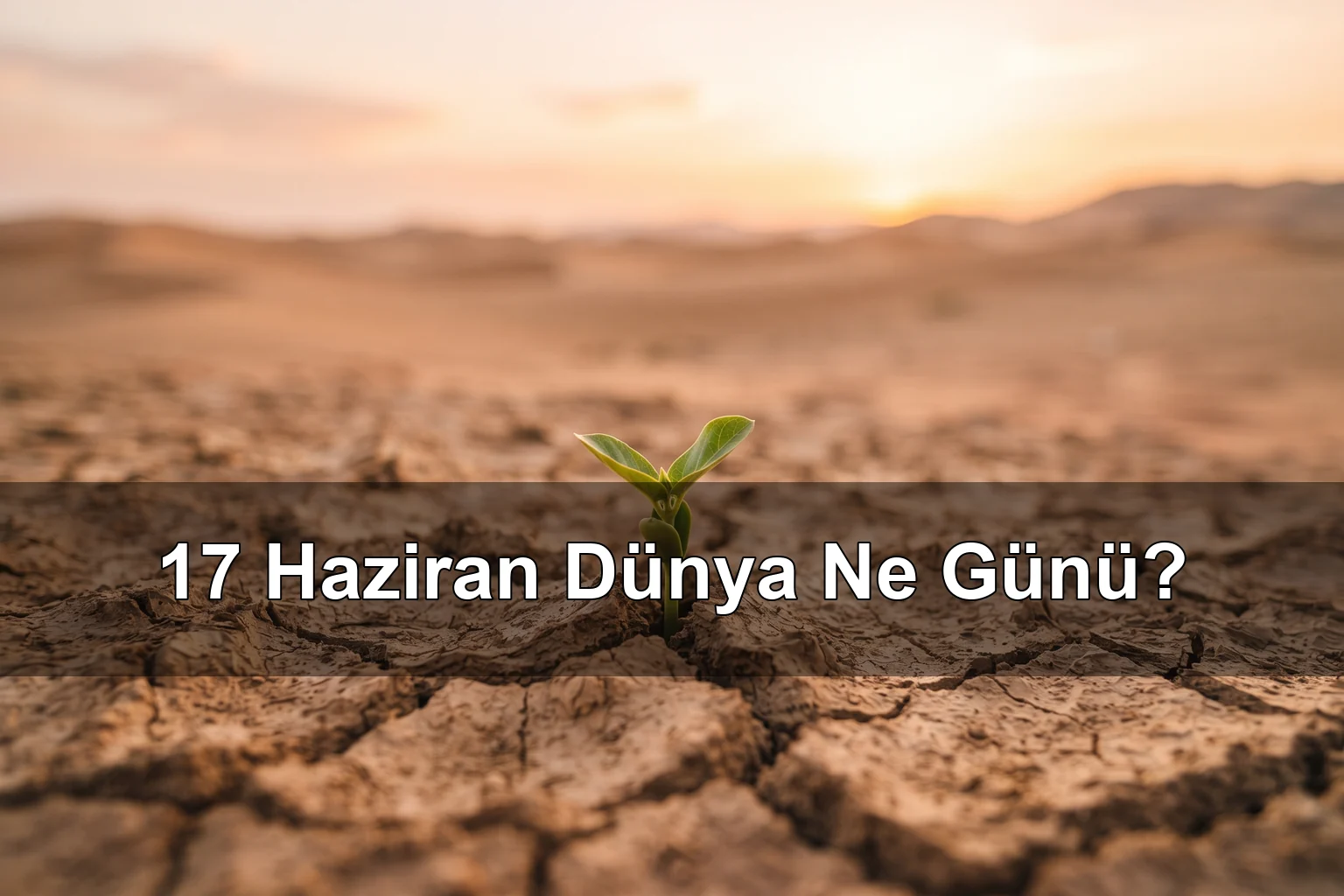17 Haziran Dünya Ne Günü? Dünya Çölleşme ve Kuraklıkla Mücadele Günü, Dünya Sebze Yeme Günü