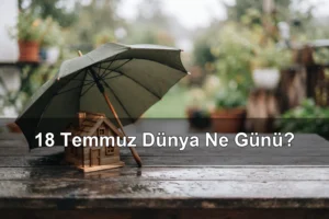 18 Temmuz Dünya Ne Günü? Dünya Sigortaya Önem Verenlerin Günü