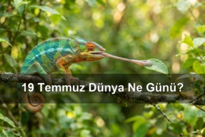 19 Temmuz Dünya Ne Günü? Dünya Dil Çıkarma Günü