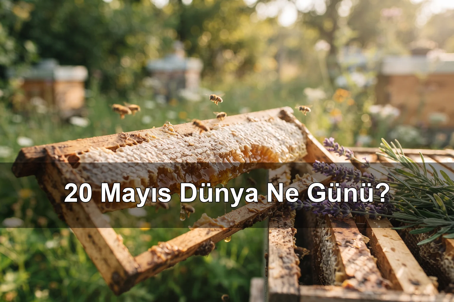 20 Mayıs Dünya Ne Günü? Dünya Arı Günü, Dünya Metroloji Günü