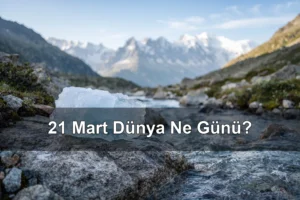 21 Mart Dünya Ne Günü? Dünya Buzullar Günü, Irk Ayrımcılığının Ortadan Kaldırılması Günü