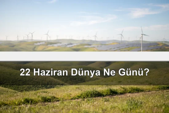 22 Haziran Dünya Ne Günü? Dünya Yenilenebilir Enerji Günü, Dünya Yağmur Ormanları Günü