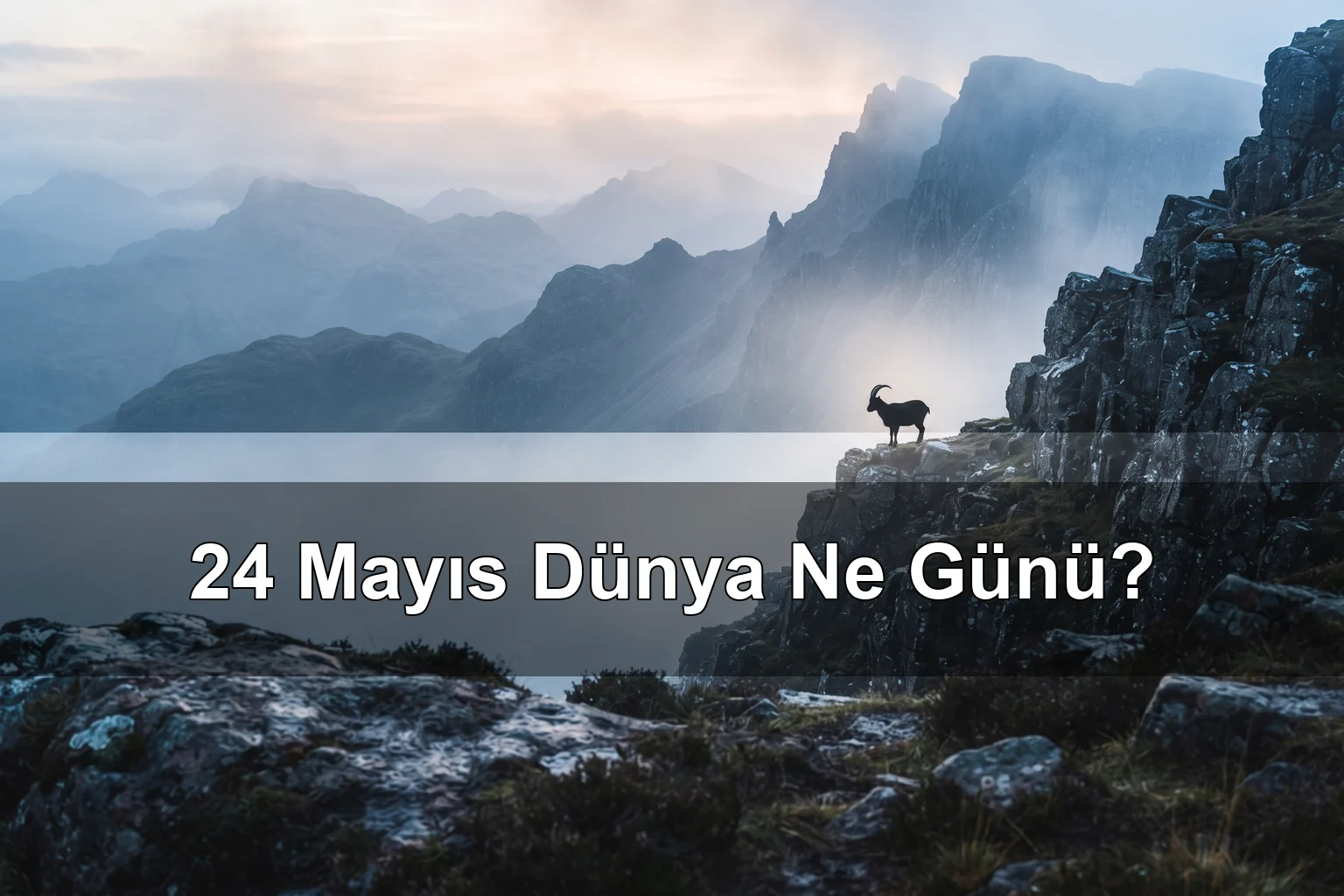24 Mayıs Dünya Ne Günü? Markhor Günü, Dünya Şizofreni Günü