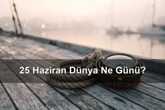 25 Haziran Dünya Ne Günü? Dünya Denizciler Günü, Köpeğini İşe Götürme Günü