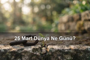 25 Mart Dünya Ne Günü? Köleliğin Kurbanlarını Anma Günü, Dünya Waffle Günü