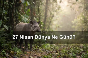 27 Nisan Dünya Ne Günü? Dünya Tapir Günü, Dünya Tasarım Günü