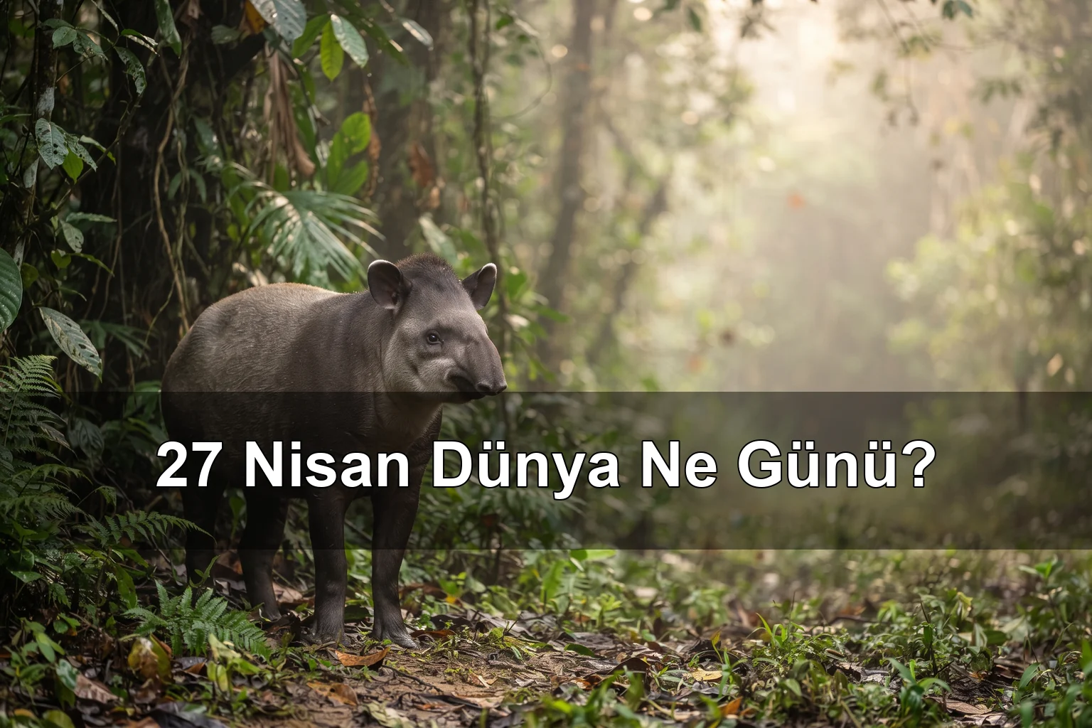 27 Nisan Dünya Ne Günü? Dünya Tapir Günü, Dünya Tasarım Günü