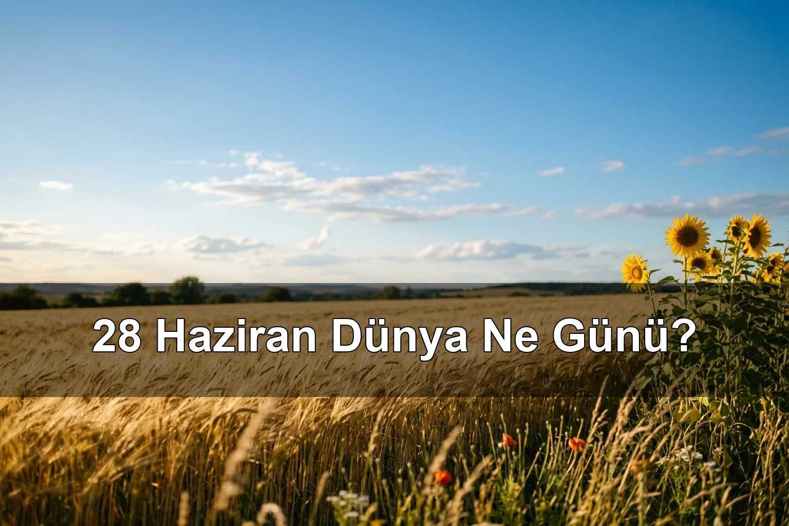 28 Haziran Dünya Ne Günü? Ukrayna Anayasa Günü