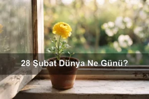 28 Şubat Dünya Ne Günü? Nadir Hastalıklar Günü