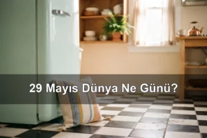 29 Mayıs Dünya Ne Günü? Dünya Buzdolabına Yastık Koyma Günü, Dünya BM Barış Gücü Günü