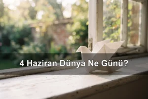 4 Haziran Dünya Ne Günü? Saldırganlık Mağduru Masum Çocuklar Günü, Dünya Kedine Sarılma Günü