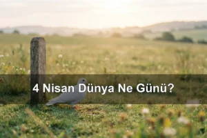 4 Nisan Dünya Ne Günü? Mayın Farkındalık Günü, Dünya Sokak Hayvanları Günü