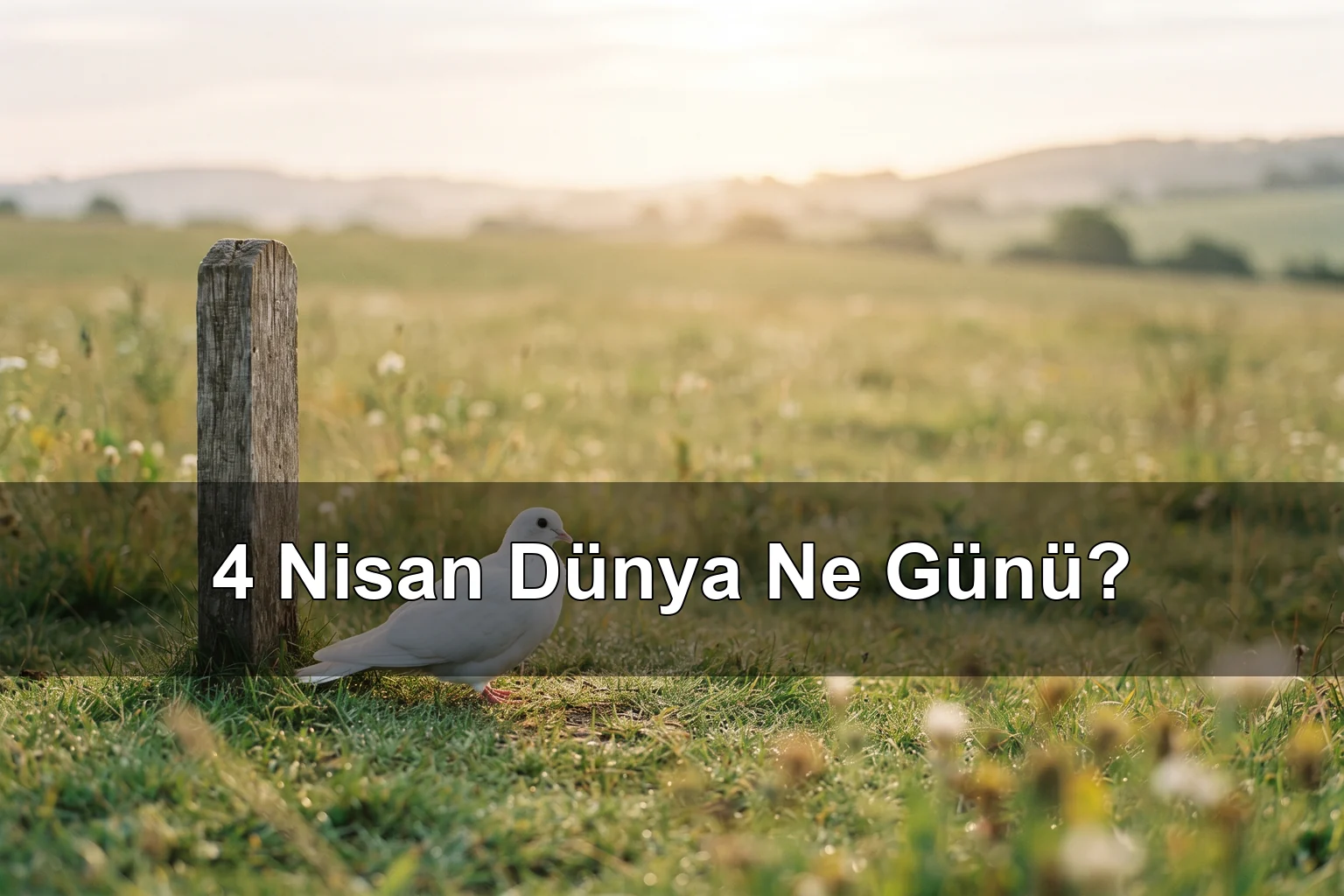 4 Nisan Dünya Ne Günü? Mayın Farkındalık Günü, Dünya Sokak Hayvanları Günü