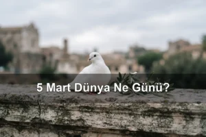 5 Mart Dünya Ne Günü? Silahsızlanma Farkındalık Günü, İsminin Anlamını Öğren Günü
