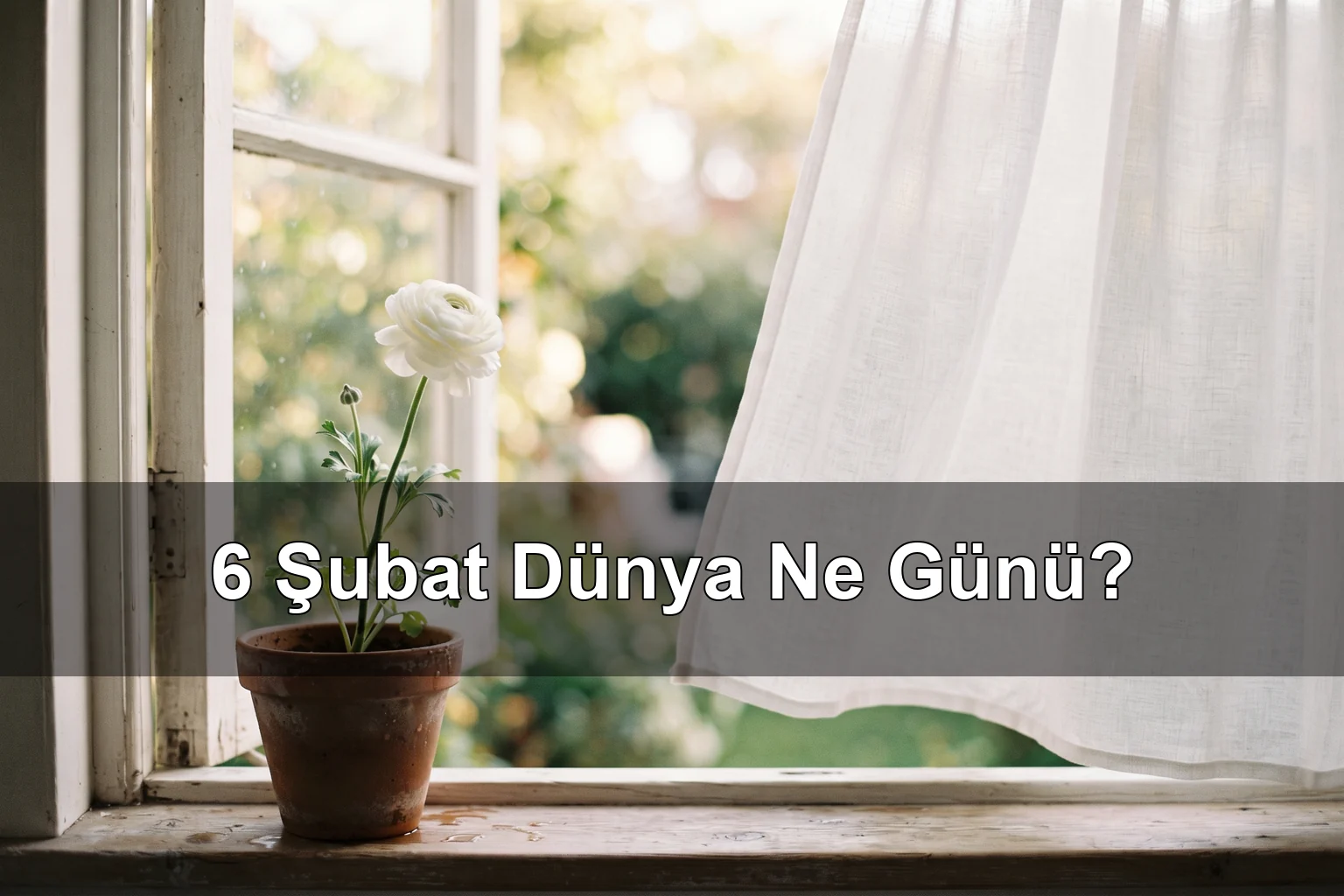 6 Şubat Dünya Ne Günü? Uluslararası Kadın Sünnetine Karşı Sıfır Tolerans Günü