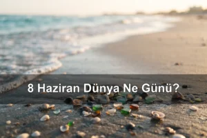 8 Haziran Dünya Ne Günü? Dünya Okyanus Günü, Dünya En İyi Arkadaşlar Günü