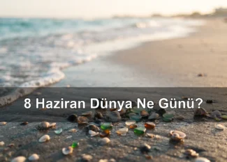 8 Haziran Dünya Ne Günü? Dünya Okyanus Günü, Dünya En İyi Arkadaşlar Günü