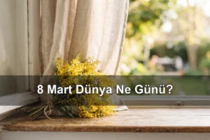 8 Mart Dünya Ne Günü? Dünya Kadınlar Günü