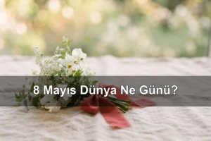8 Mayıs Dünya Ne Günü? Dünya Talasemi Günü, Dünya Kızılhaç ve Kızılay Günü